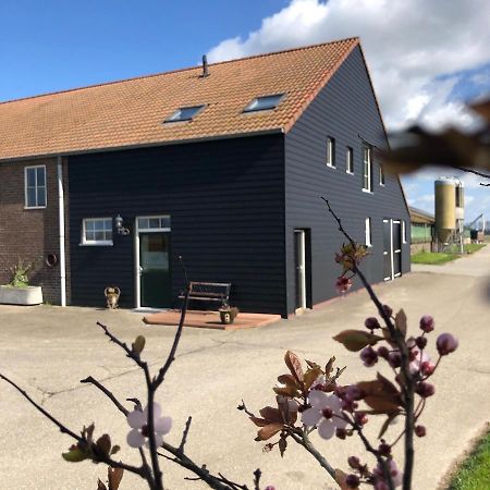 Appartement De Graanzolder Aan Zeeuwse Kust Hoofdplaat Esterno foto