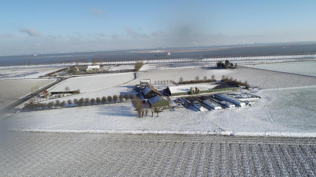 Appartement De Graanzolder Aan Zeeuwse Kust Hoofdplaat Esterno foto