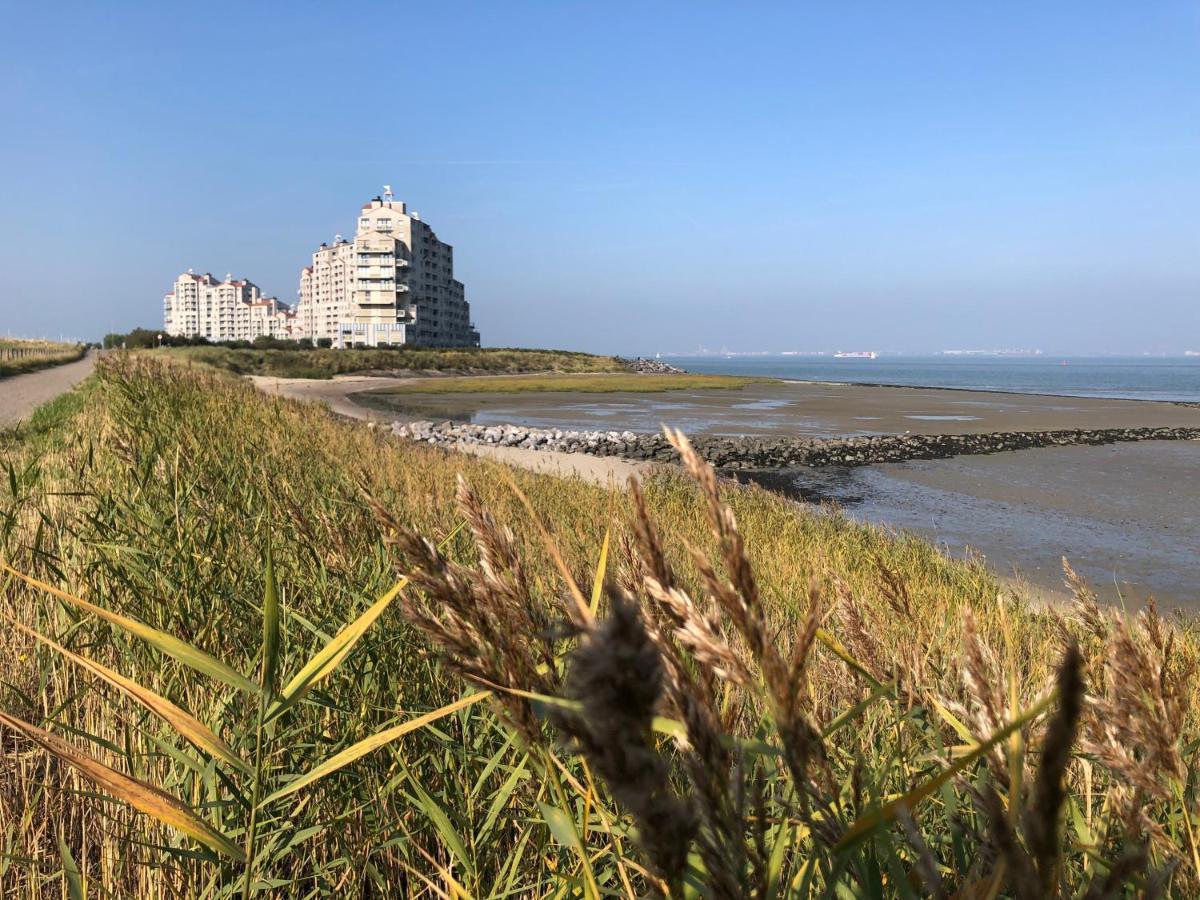 Appartement De Graanzolder Aan Zeeuwse Kust Hoofdplaat Esterno foto