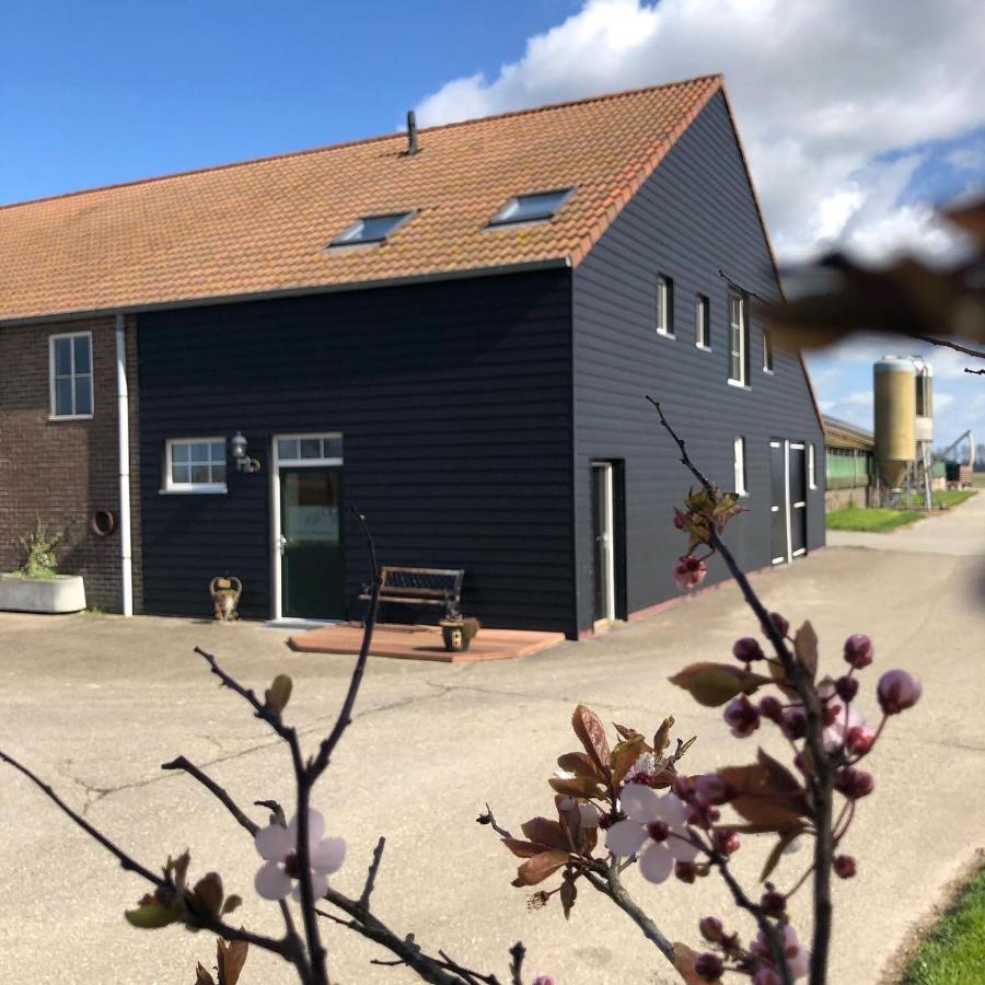 Appartement De Graanzolder Aan Zeeuwse Kust Hoofdplaat Esterno foto