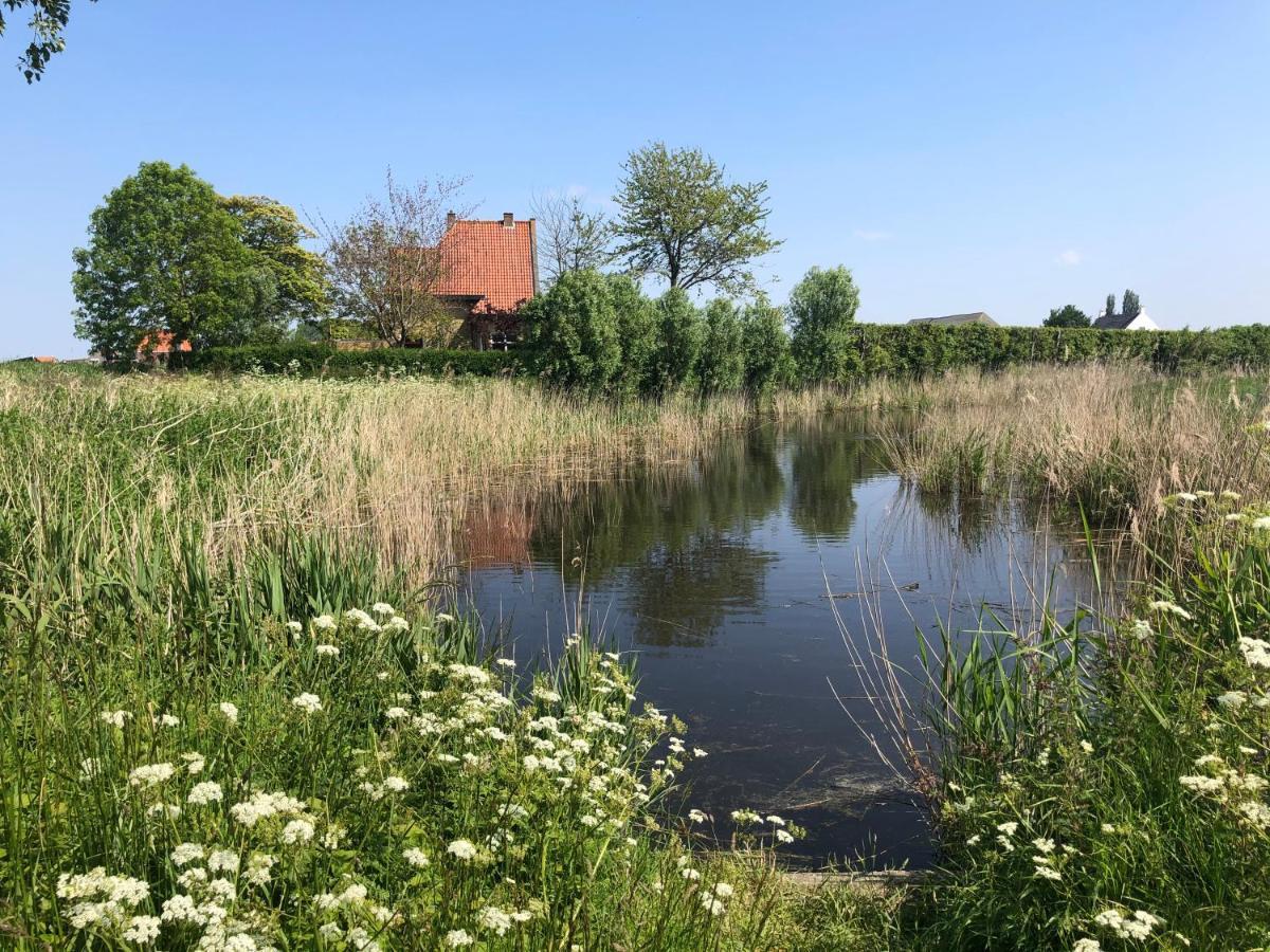 Appartement De Graanzolder Aan Zeeuwse Kust Hoofdplaat Esterno foto