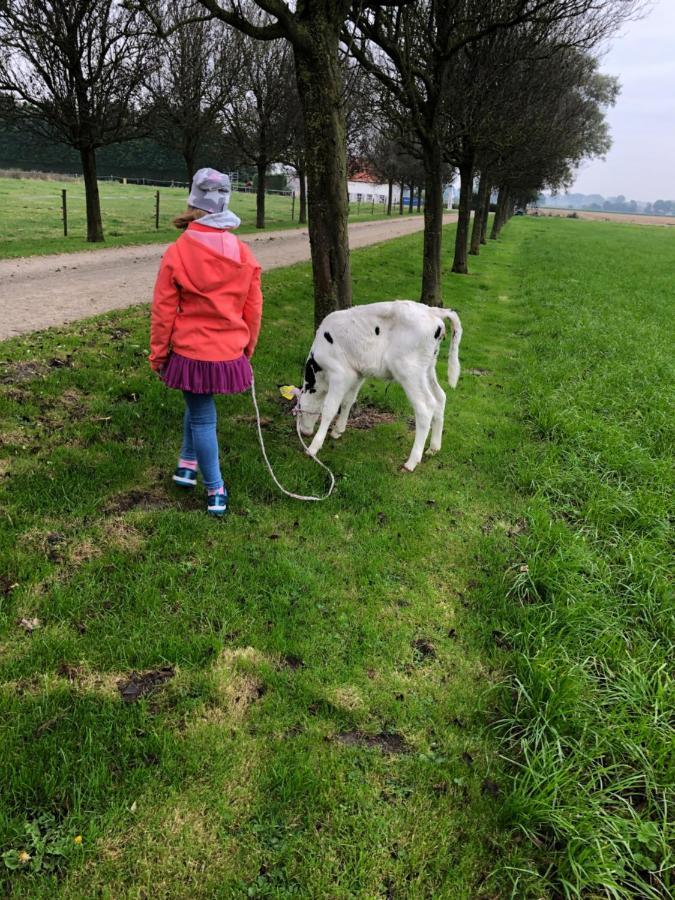 Appartement De Graanzolder Aan Zeeuwse Kust Hoofdplaat Esterno foto