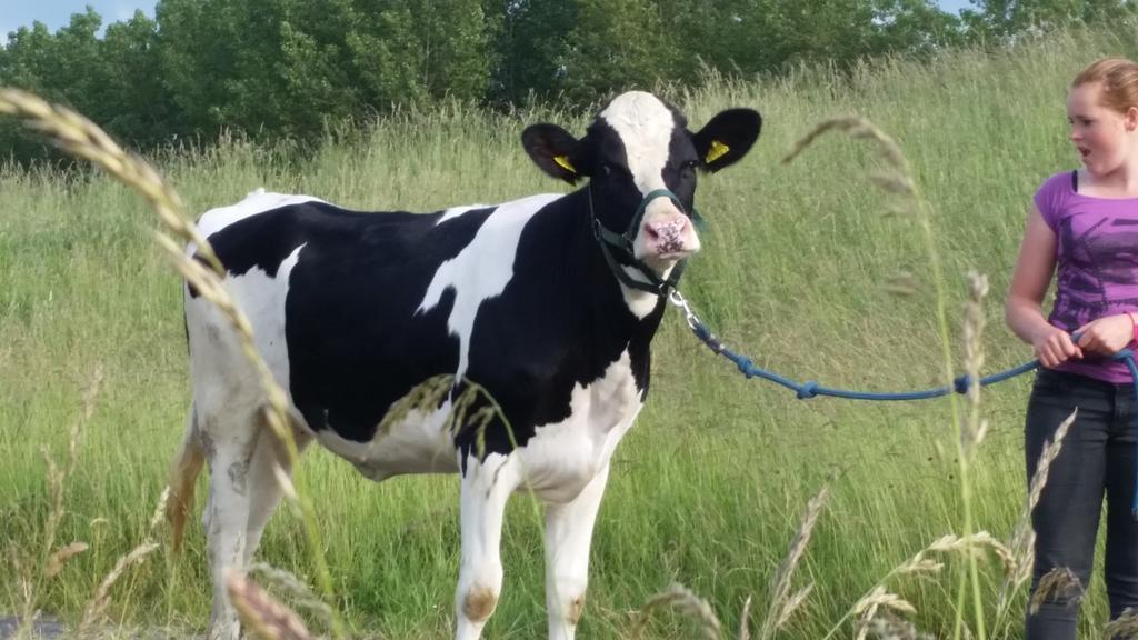 Appartement De Graanzolder Aan Zeeuwse Kust Hoofdplaat Esterno foto